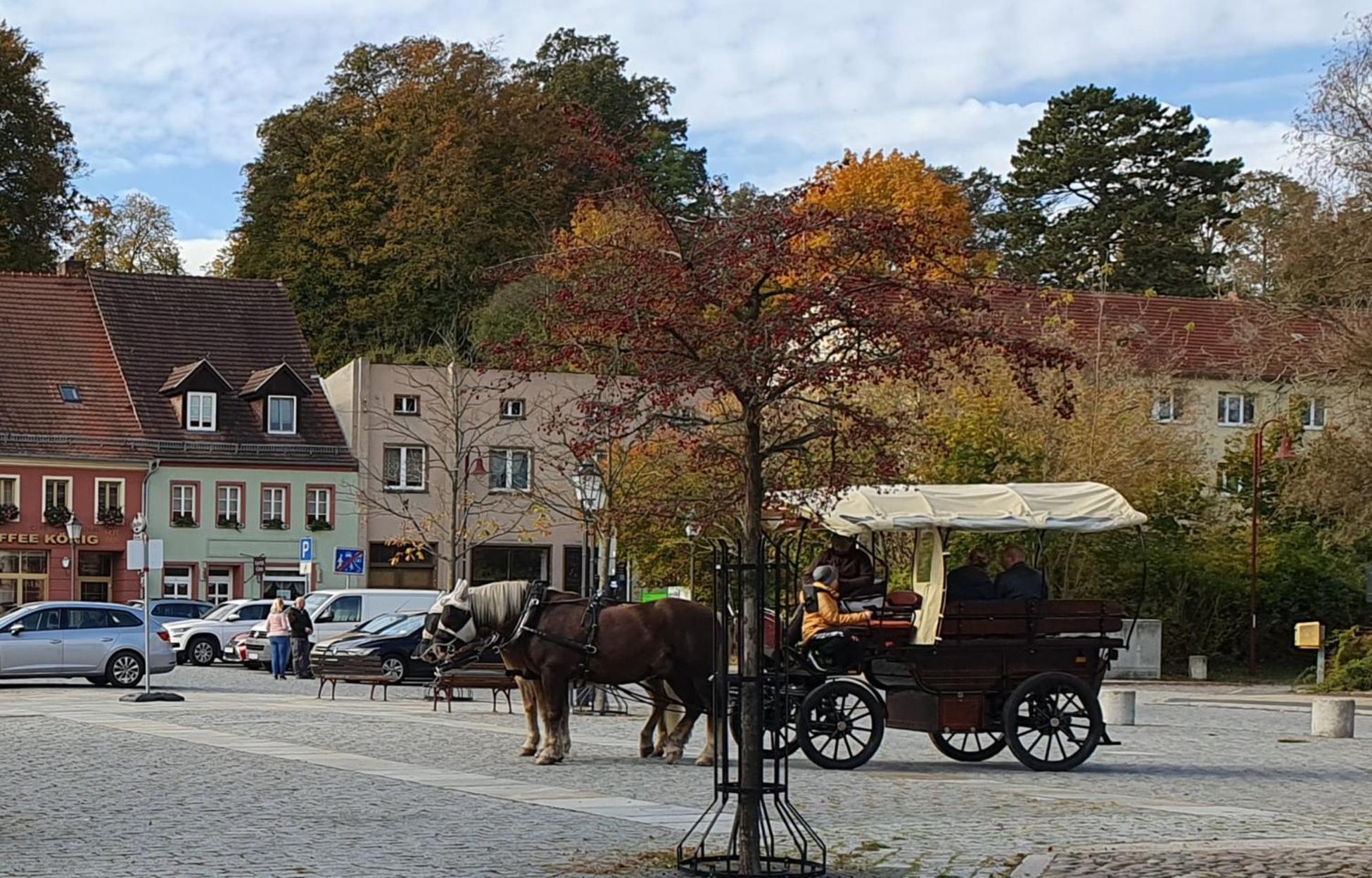 Apartment Gruener Fuerst Mit Sitzecke Im Innenhof & Naehe Park & Erdgeschoss Bad Muskau Eksteriør bilde